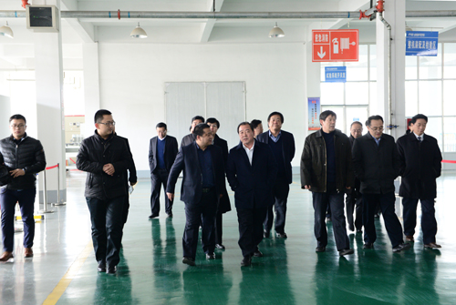 王顶岐参观考察德信手机官方网站公司