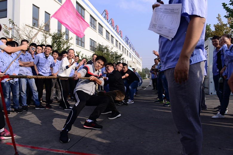 凝聚合力 共享欢乐 ---德信手机官方网站公司第十五届运动会隆重举行