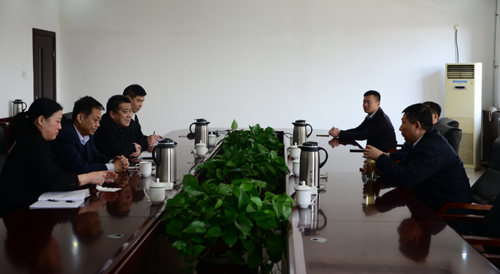 汶上县委副书记、县长李洪文到德信手机官方网站公司调研