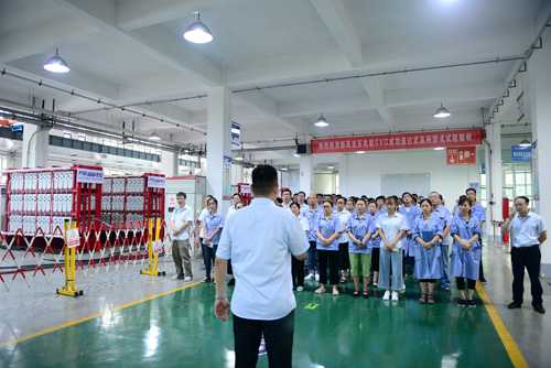 德信手机官方网站百兆级高压水冷SVG成功通过中国电科院型式试验检测验收